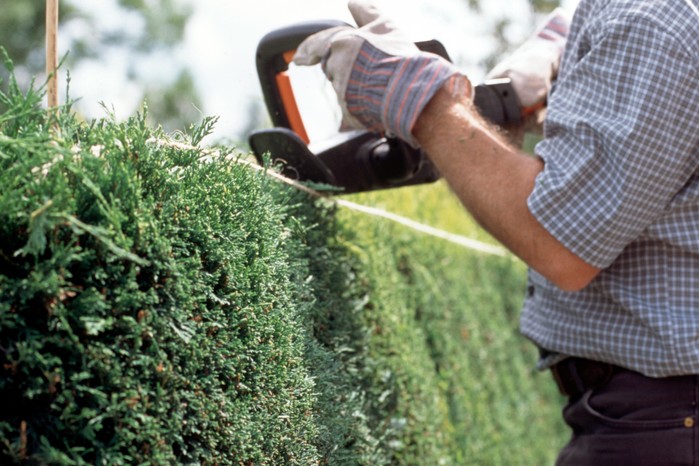 Trimming the hedge horizontally Trimming the hedge horizontally