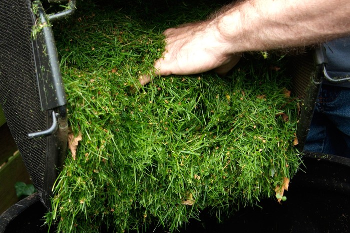 Lawn clippings Lawn clippings