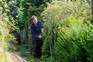 Monty clipping Taxus baccata