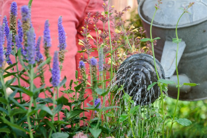 Watering container-grown plants Watering container-grown plants