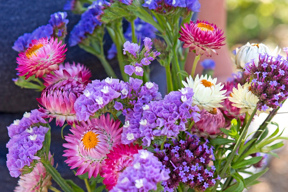 Mixed bunch of flowers including strawflowers Mixed bunch of flowers including strawflowers