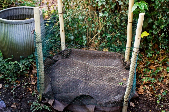 Finished leaf cage Finished leaf cage