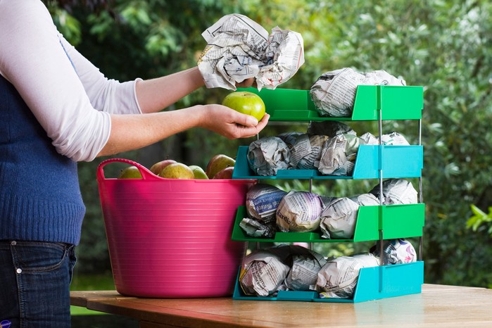 Storing apples in newspaper Storing apples in newspaper