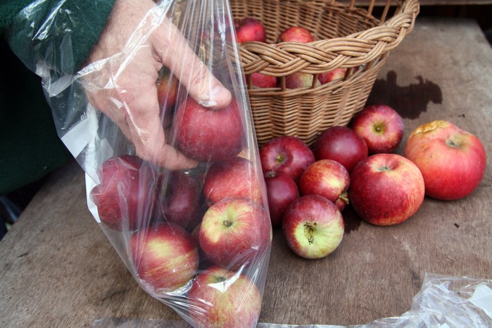 Storing apples in freezer bags Storing apples in freezer bags