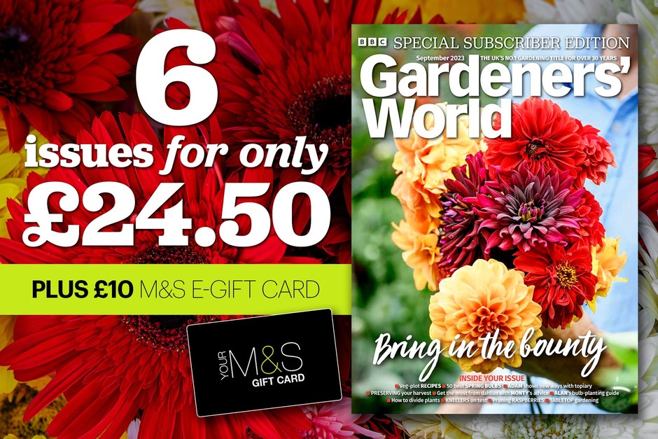Subscribe to BBC Gardeners' World Magazine