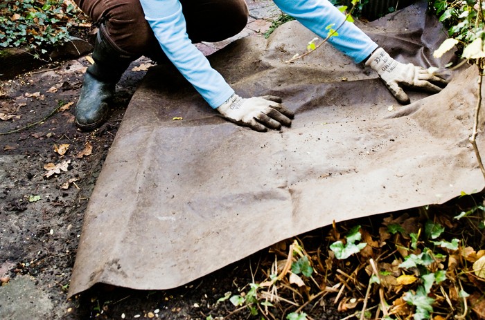 Laying weed-suppressant membrane Laying weed-suppressant membrane