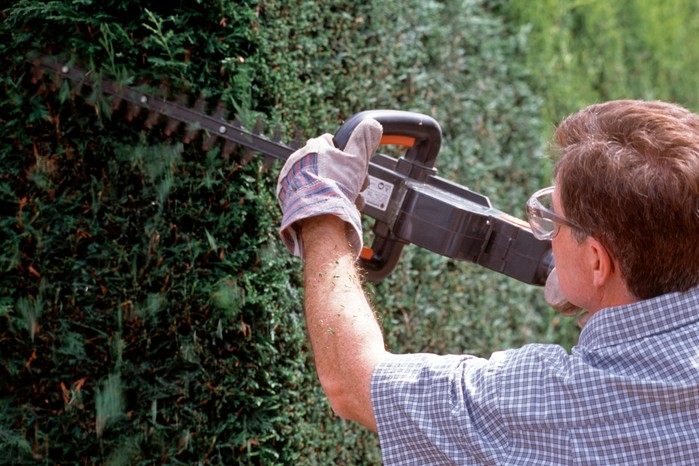Trimming the side of the hedge Trimming the side of the hedge
