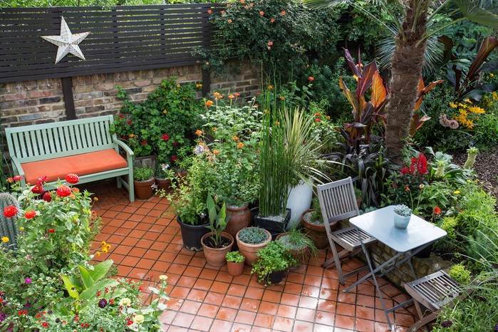 Garden patio with container planting Garden patio with container planting