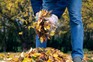 Gathering autumn leaves