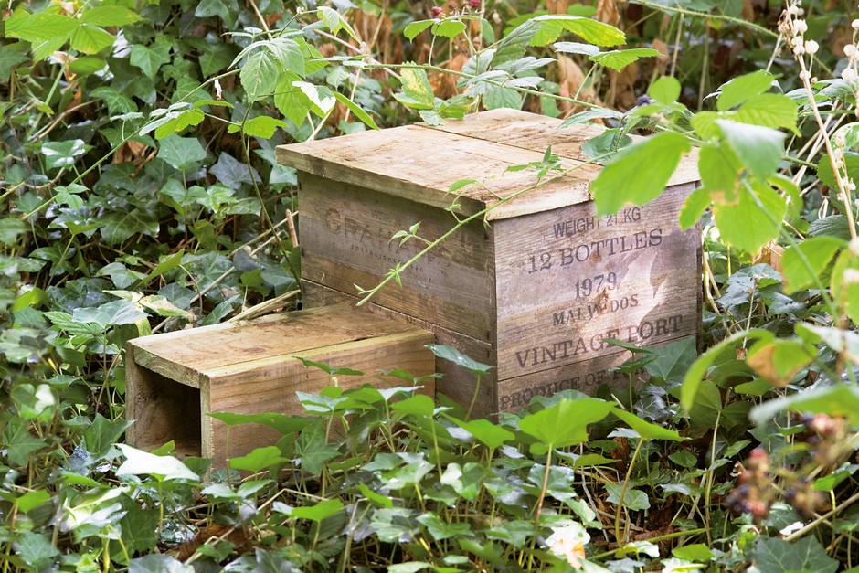 How to make a hedgehog house How to make a hedgehog house