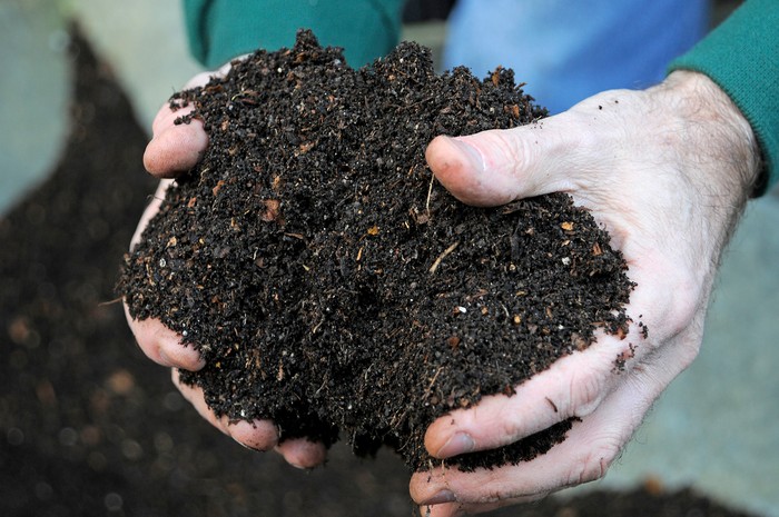 Adding compost to the top dressing mix Adding compost to the top dressing mix