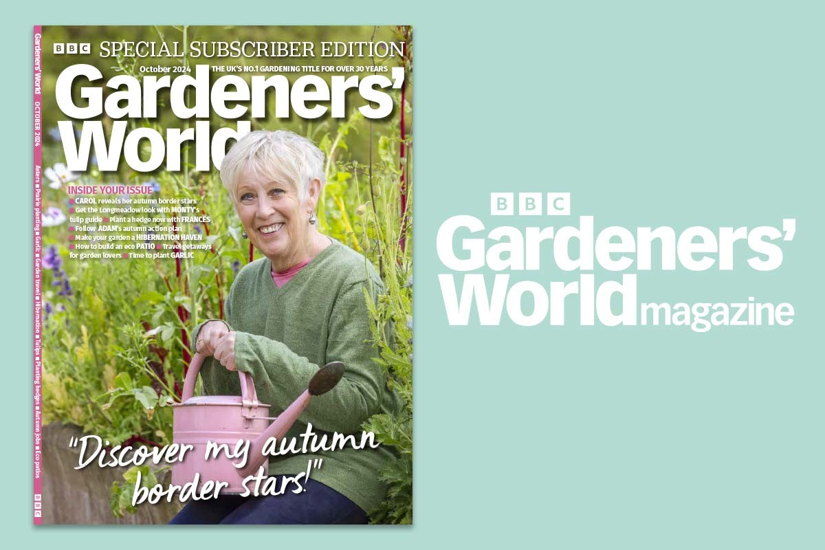 October-1200-800 Buy October issue of Gardeners' World magazine