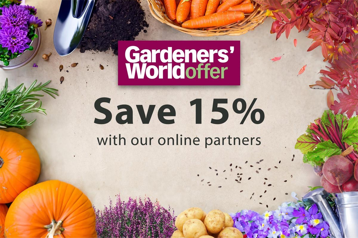 October-15pcoff-1200x800 Save 15% with our online partners