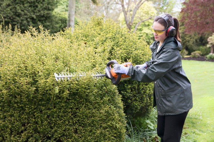 Pruning_Frances_Tophill_240521_Pruning_Topiary_a5 Frances pruning a hedge, Sarah Cuttle